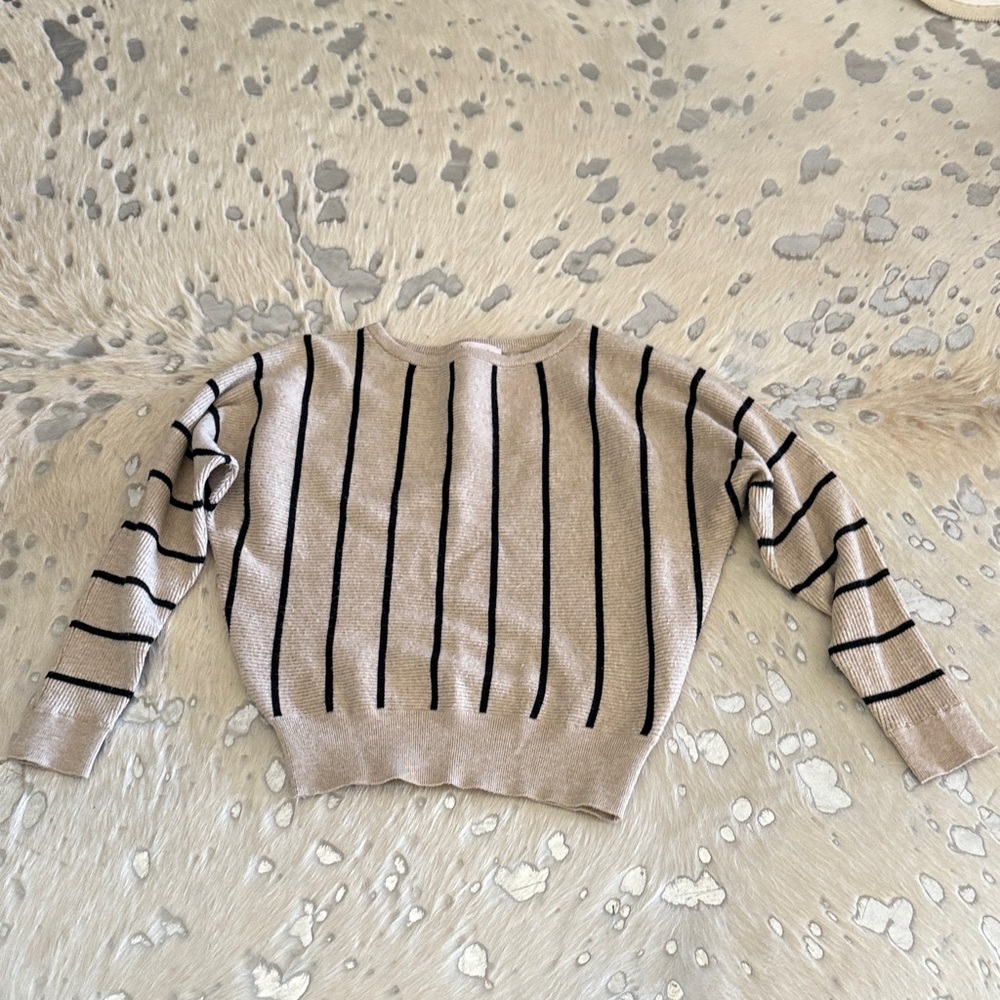 Philosophy Beige and Black Striped Top